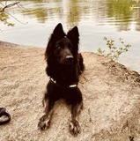 Svenja