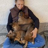 Franca