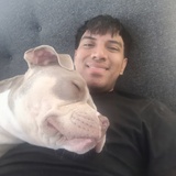 Andres