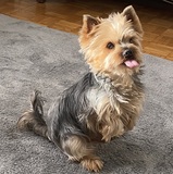 Julie