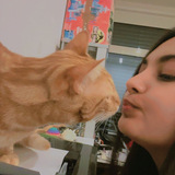 Krutiben Nileshkumar