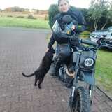 Hermine