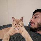 Mateo