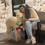 Naila