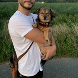 Tim