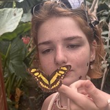 Vanessa
