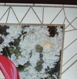 Celise
