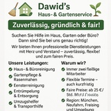 Dawid