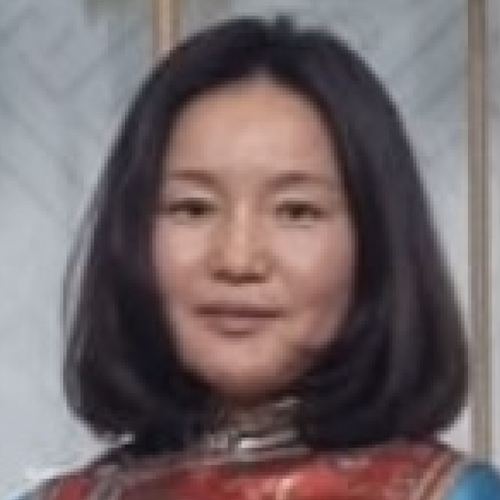 Foto di Bujin