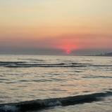 Arta