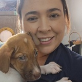 Marcela