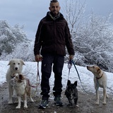 Enrico