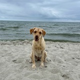 Ella