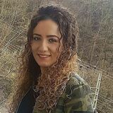 Havva