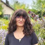 Marilena