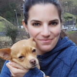 Ilaria
