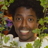 Alexander