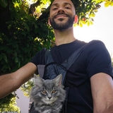 Ivo