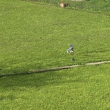 Katj