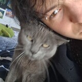 Tony
