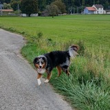 Eva