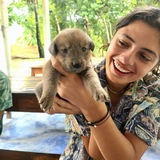 Luisa