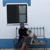Margarida