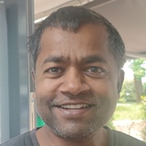 Malli