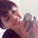 Patrícia