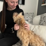 Pia