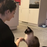 Larissa