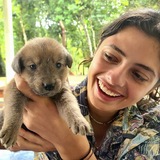 Luisa