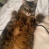 Marilou