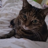 Kimiii