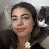 Simal