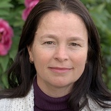 Sveta