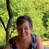 Gisi