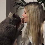 Jasmina