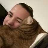 Jenni