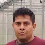 Carlos