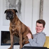 Valentin