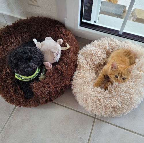 Foto von Gabriela