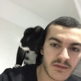 Tarek