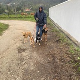 Ricardo