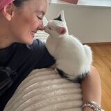 Lynn