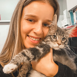 Catarina