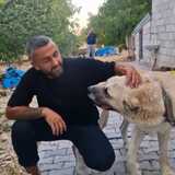 Ferhat