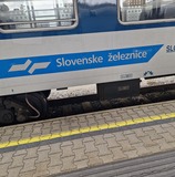 Svetlana