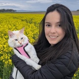 Ana