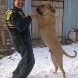 Lubomir
